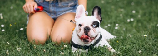 До кінця літа залишилися лічені дні