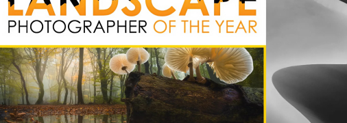 Иллюстративное фото