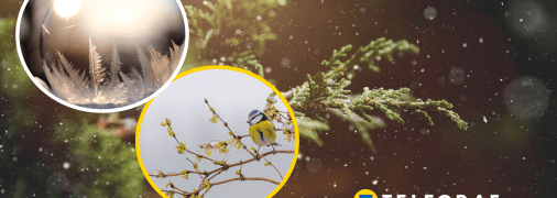 Погода в Украине