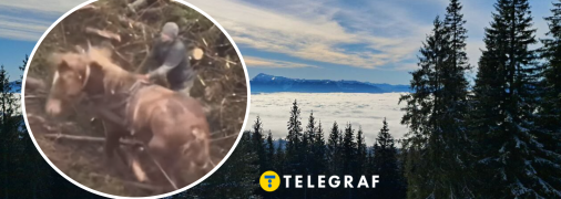 Избиение коня в Буковеле