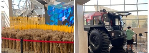 Нынешняя выставка. Фото автора