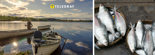 На Дніпрі чоловік похизувався уловом