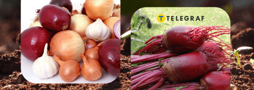 Огородні лайфхаки, перевірені часом