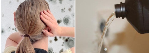 Впоратися з пліснявою дуже просто