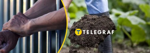 Коллаж "Телеграф"