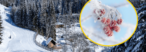 Погода в Україні у грудні