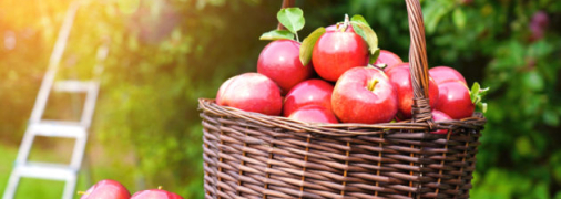 В большинстве регионов 19 августа будет тепло и без осадков