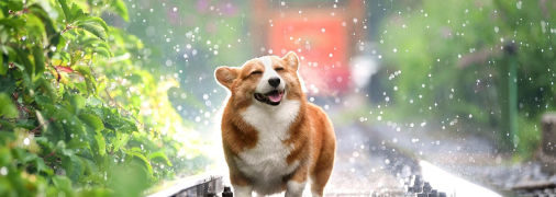 Погода в Україні на 10 та 11 серпня