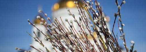 Для наших предків це свято мало особливе значення, адже вони дотримувалися стародавніх обрядів з вербовими гілками
