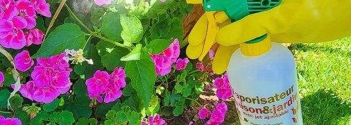 Сода - безопасный инсектицид для борьбы с этими вредителями