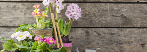 Зубну пасту рекомендують для зелені, яка цвіте