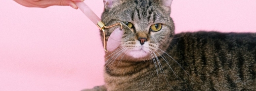 Сделали расклад Таро на финансы для каждого знака Зодиака на неделю с 30 октября по 5 ноября 2023 года