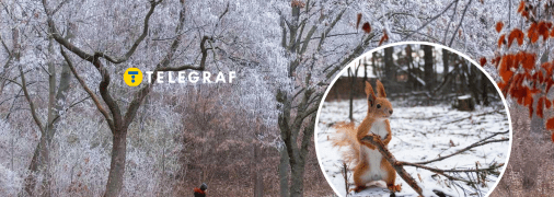 Погода в Украине