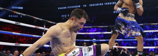 Стивенсон выиграл техническим нокаутом