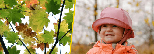 Украинцев ждет комфортное начало сентября