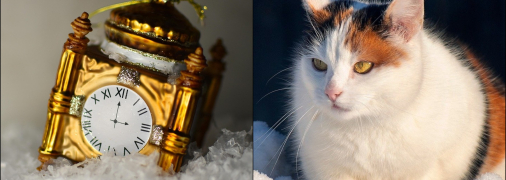 Що потрібно і не можна робити 14 січня