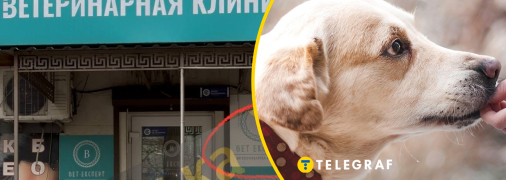 В Одессе в ветклинике произошел скандал