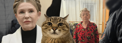 Юлия Тимошенко и глава ВЛК с Днепропетровщины