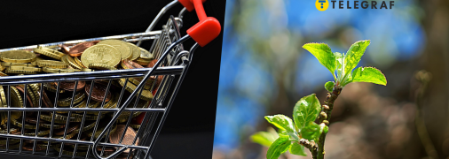 В Днепропетровской области закупят саженцы на миллионы гривен