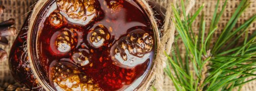 В этом году точно: готовим варенье из сосновых шишек