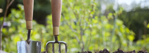 Поберегите свои овощи - не удобряйте их этим