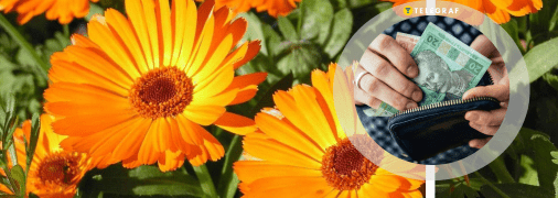 Заробіток на квітах