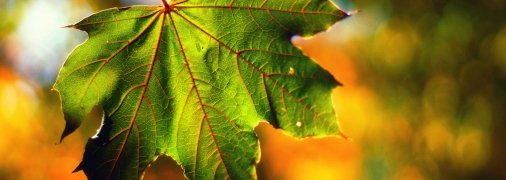 Успейте насладиться последними теплыми днями