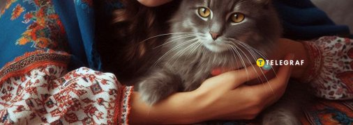 Сделали расклад Таро для каждого знака Зодиака на июнь 2024