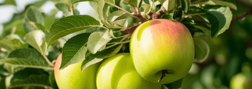 Є багато причин гниття яблук на дереві  (зображення створено за допомогою ШІ)