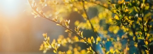 Пасмурность, дожди и даже мокрый снег: появился "не весенний" прогноз погоды на 6 апреля