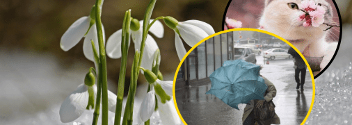 Прогноз погоды