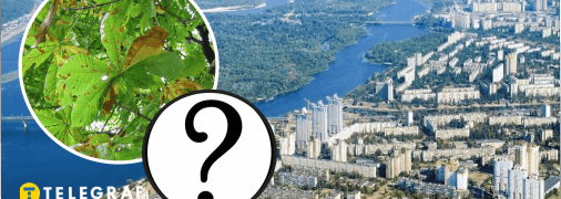 На Днепропетровщине нашествие опасных насекомых