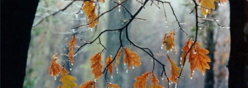 Последний месяц осени будет холодным