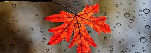 Промозгло и облачно: какая погода будет в Украине 21 октября