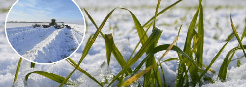 Снег на поле