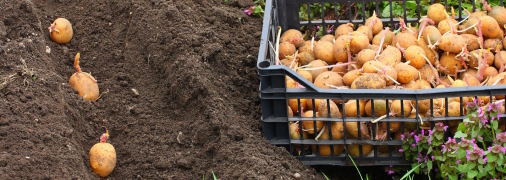 Насправді це дуже важливо