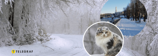 Сніжна погода в Україні