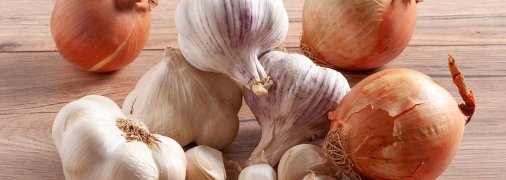 Лук и чеснок