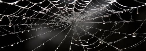 Павутина хоч і пов'язана з потойбіччям, але також є символом захисту