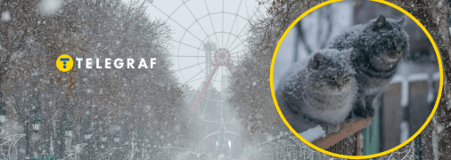 У Харкові очікується сніг та заморозки