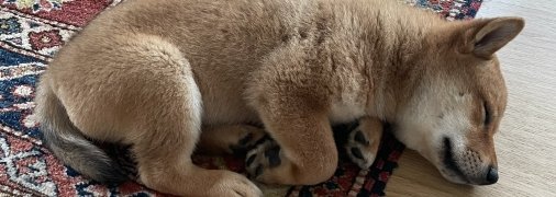 Публикация Маска вызвала рост криптовалюты