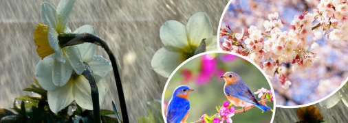 Прогноз погоди в Україні