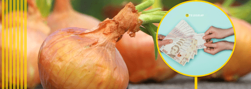 Заробіток на цибулі