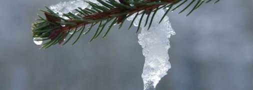 Березень не дасть українцям стабільної плюсової температури