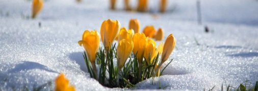 Прогноз погоды на неделю