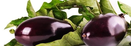 Что происходит с телом когда вы едите баклажаны