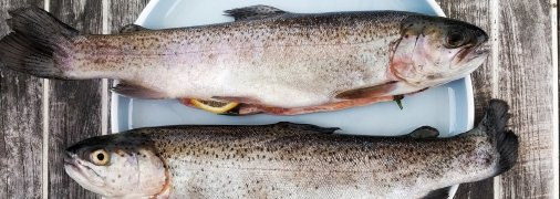 Рыба на тарелке