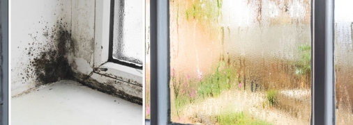 Появление плесени и конденсата – одна из привычных проблем холодного времени года