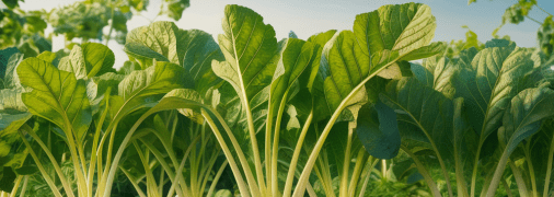 Редис нуждается в правильном уходе (изображение создано с помощью ИИ)