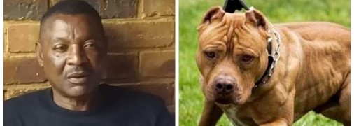 Героя збірної Замбії загризли власні собаки